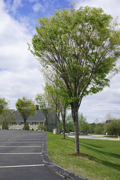 vacant parking lot outdoor in residential area
