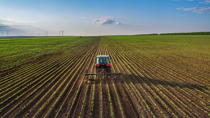 Naklejka premium Tractor cultivating field at spring