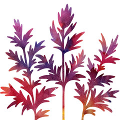 floral composition plants and leaves