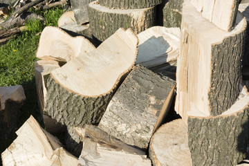 pile of logs ready for chopping