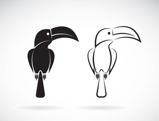 Vector image of an toucan bird design on white background © yod67