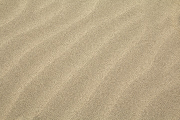 Fototapeta na wymiar Rippled Sand Overhead Texture