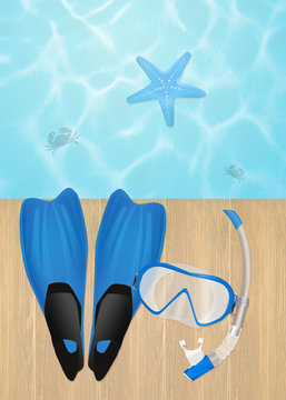 flippers and mask for diving