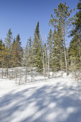 winter landscape in ontario canada