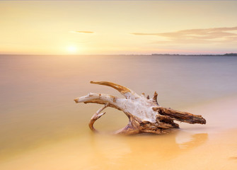 Obraz premium Seascape during sunrise. Beautiful natural summer seascape 