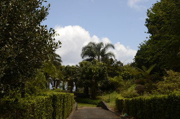 Santana (Mad&egrave;re)