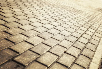 sunlight on paved cobblestone pavement