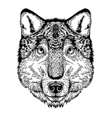 Wolf head