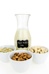 Bottle of homemade plant based milk and bowls with ingredients, on white background