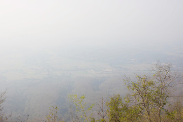 Smoke problem from burning forests. The result is air pollution.