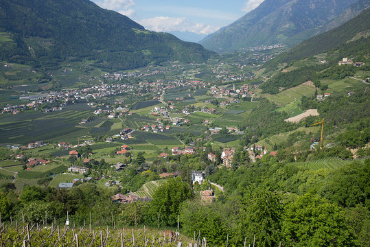 Blick von Dorf Tirol in den Vinschgau | S&uuml;dtirol