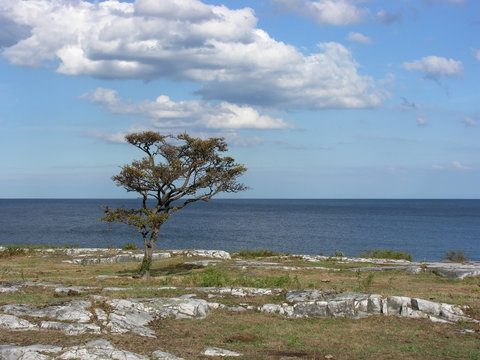 Simrishamn