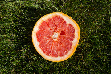 Grapefruit on a background of green spring grass.