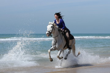 Galopp am Strand