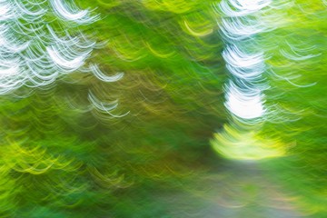 Artistic abstract background with forest