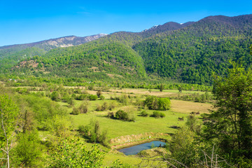 Obraz premium Mountain landscape in Abkhazia.