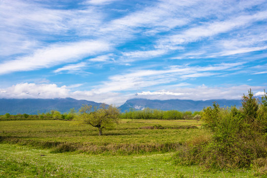 Mountain landscape in Abkhazia.