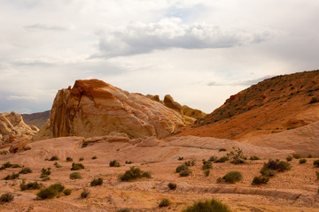 Fototapeta premium The Valley of Fire State Park, USA.