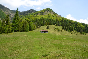 Claut - C.ra Col de Post