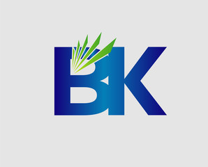 Elegant black and gold alphabet B and K letter logo. Vector illustration
