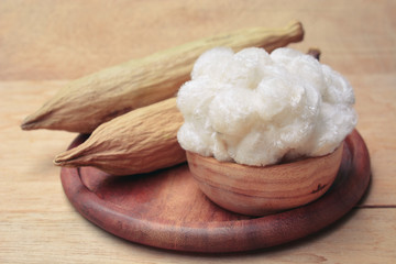 Fototapeta na wymiar white cotton from dry kapok fruit. cotton and kapok fruit on wooden plate.
