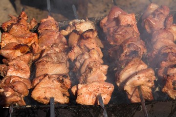 shish kebab on nature