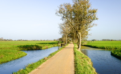 Fototapeta na wymiar Narrow bike path in a Dutch polder area