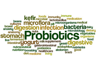 Fototapeta premium Probiotics, word cloud concept 2