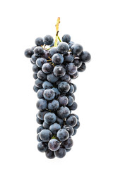 Grape