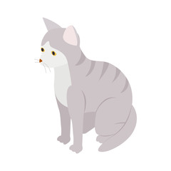 Gray tabby cat icon, isometric 3d style
