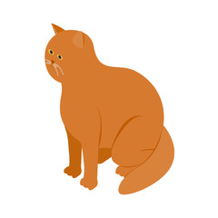 Big orange cat icon, isometric 3d style