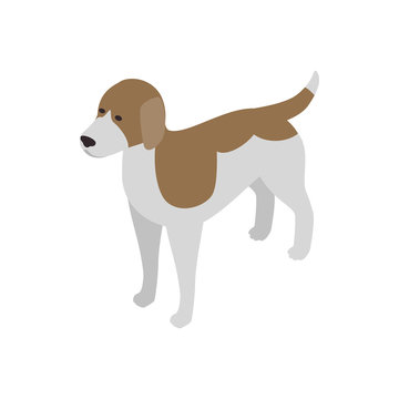 Beagle dog icon, isometric 3d style