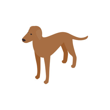 Ridgeback dog icon, isometric 3d style