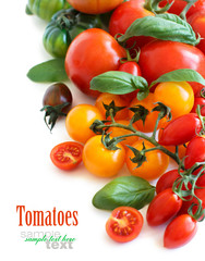 Colorful tomatoes