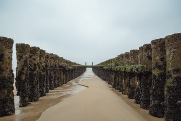 Fototapeta premium Spur dyke at Domburg Beach / Netherlands