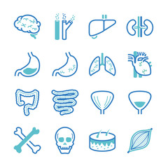 Human organ icons set