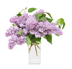 Bouquet of lilacs