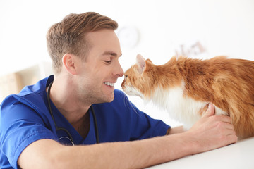 Cheerful male veterinarian is doing checkup of animal