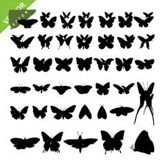 Fototapeta na wymiar Butterfly silhouettes vector