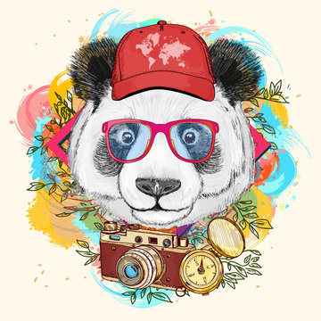 Panda hipster art print hand drawn animal illustration