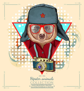 Portrait of fashion bear, hipster animals hand drawn