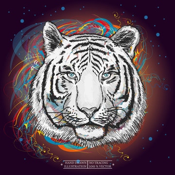 White tiger in outer space art print hand drawn animal