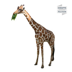 Naklejka premium Giraffe polygon vector