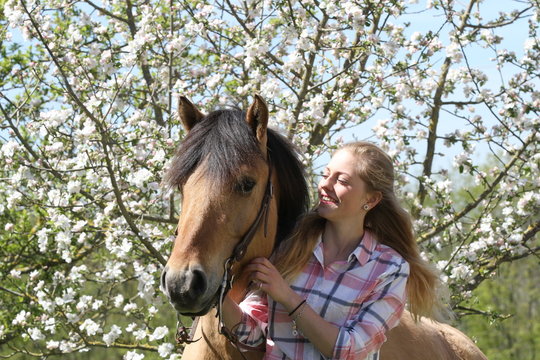 Blondes M&auml;dchen mit Falben vor Kirschbl&uuml;ten