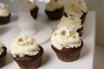 Delicious sweet buffet with cupcakes. Sweet holiday buffet with