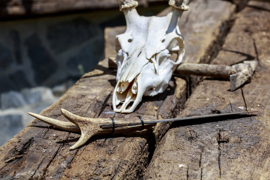 Rustic knife with handle made with deer antlers in front of a cervid skull