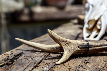 Detail of knife's handle made with deer antler