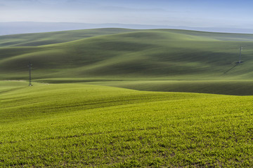 Mountainous landscape of green grass during spring, Andalucia, S