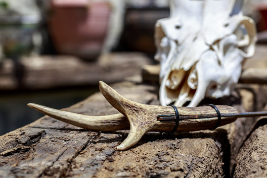 Detail of knife's handle made with deer antler in front of cervid skull
