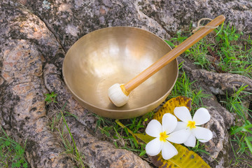 tibetan singing bowl and plumeria flowers on the base of plumeria tree